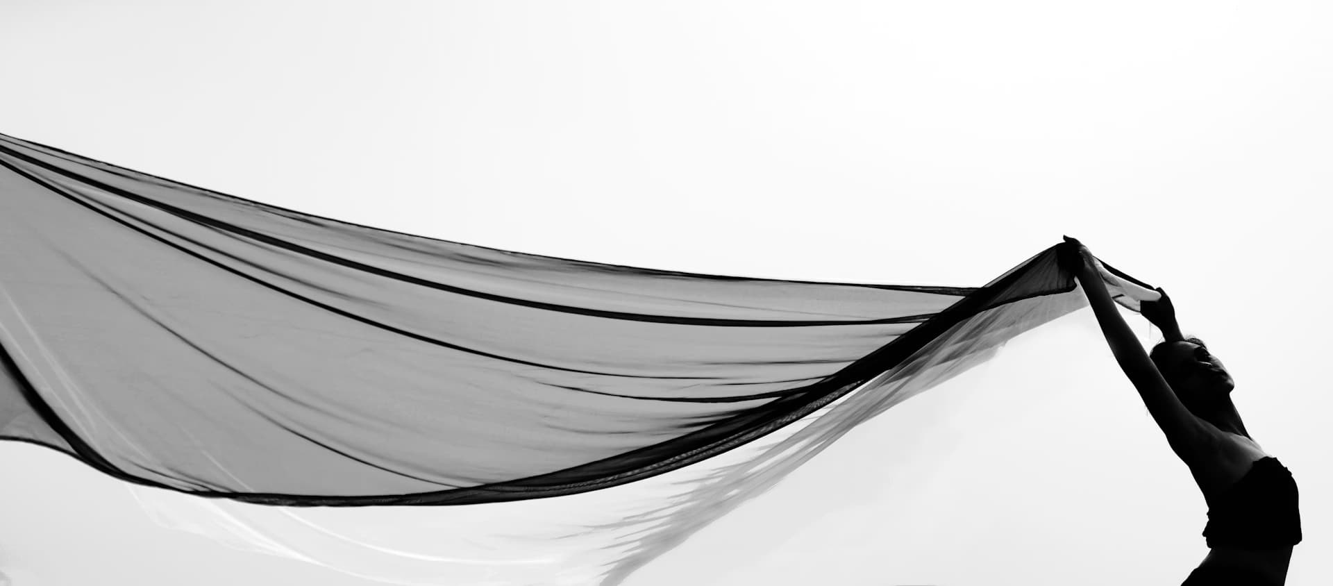 Talento profesional HostPro Panamá